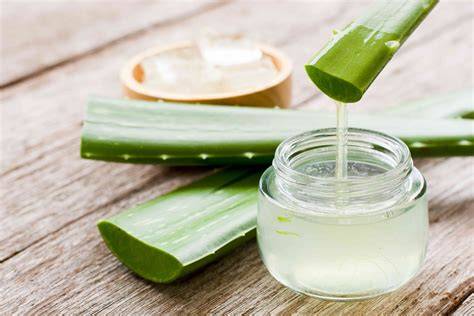 Hoja de aloe vera y gel natural