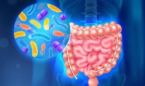 Microbiota intestinal y barrera digestiva