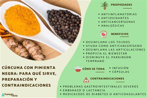 Comparación cúrcuma polvo y extracto