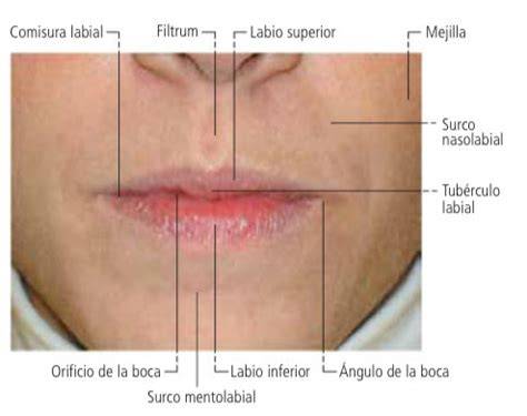 Zona nasolabial irritada por resfriado