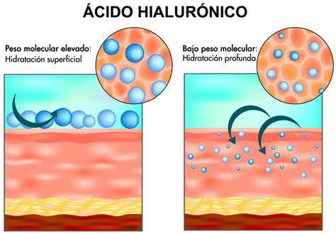 Comparación química ácido hialurónico lineal reticulado