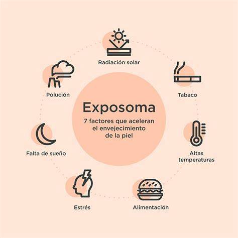 Exposoma y factores que afectan piel