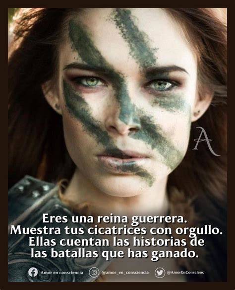 Gata guerrera con cicatrices faciales